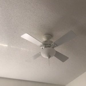 Meet your Posher, Billy